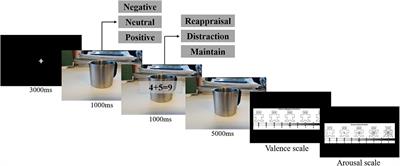 A Positive Emotional-Based Meditation but Not Mindfulness-Based Meditation Improves Emotion Regulation